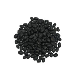 Frijol Negro
