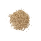 Semilla Sésamo natural -ECO-  (10gr)