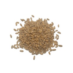 Espelta en grano Eco