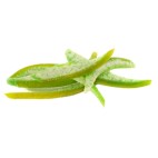 Pomelo verde desecado en tiras