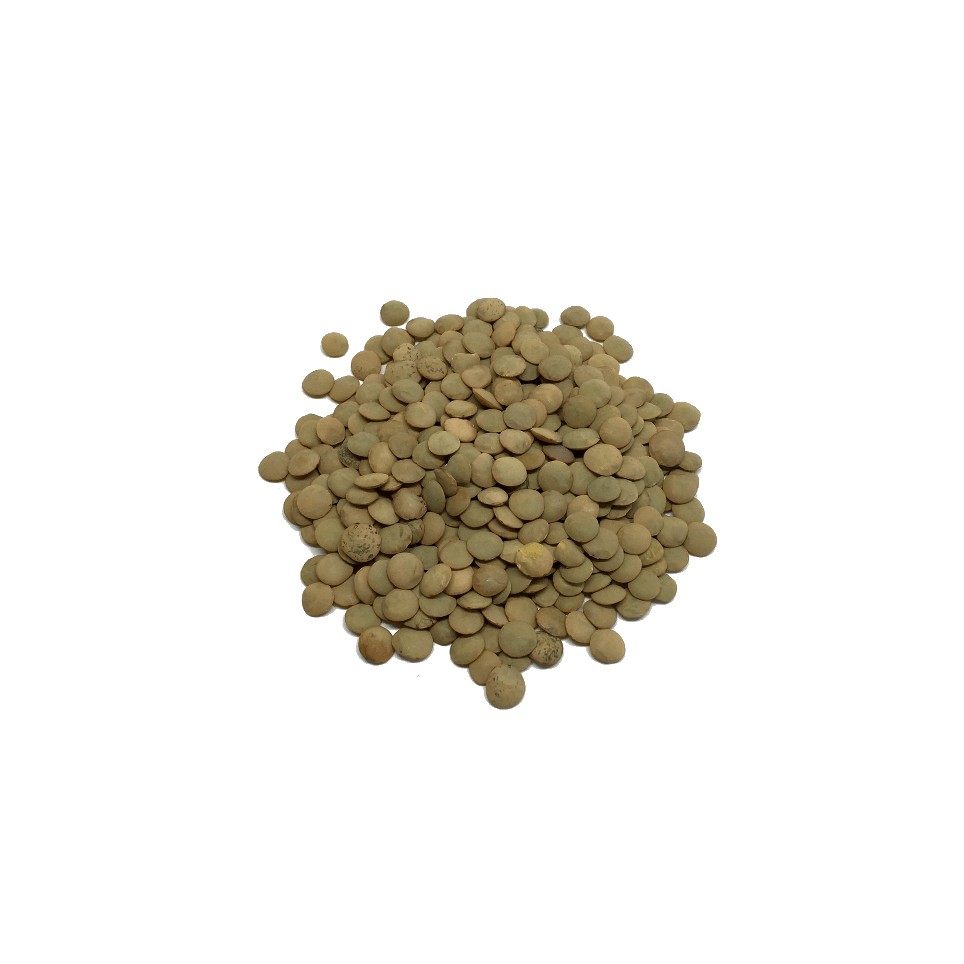 Lenteja Castellana  (10gr)
