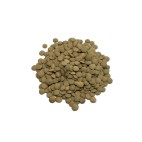 Lenteja Castellana  (10gr)