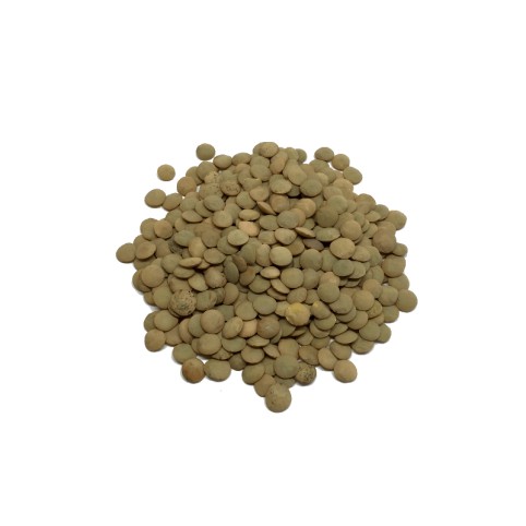 Lenteja Castellana  (10gr)