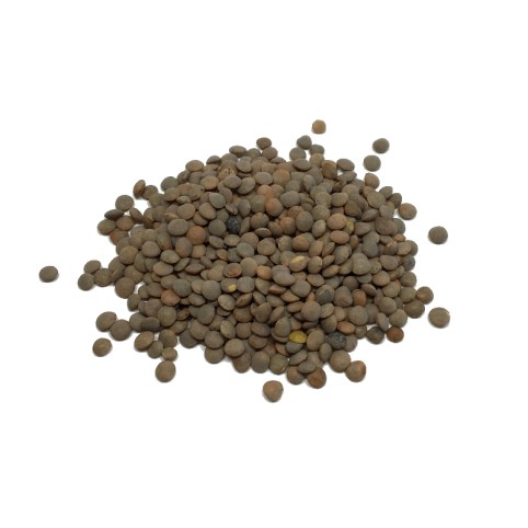 Lenteja Pardina Eco (10gr)