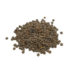 Lenteja Pardina Eco