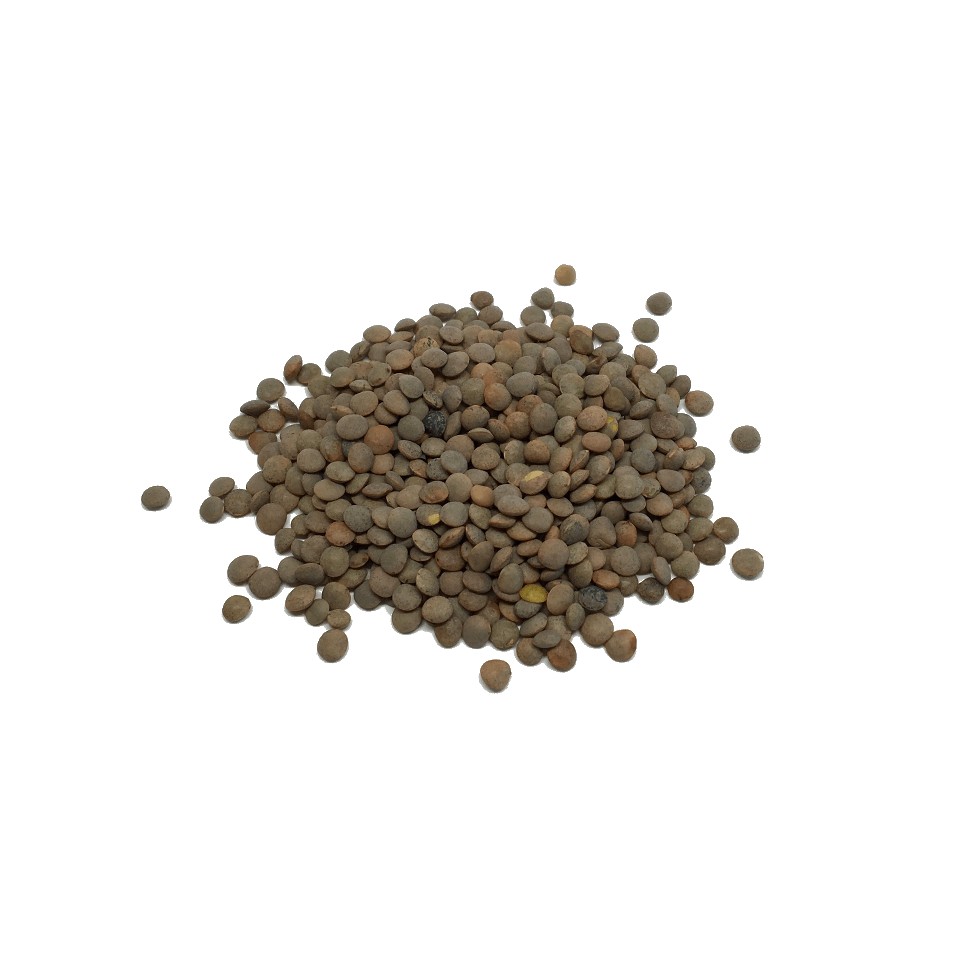 Lenteja Pardina Eco (10gr)