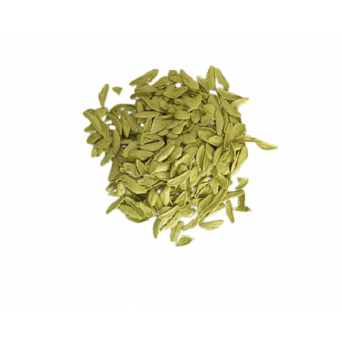 FOGLIE de ESPINACAS - 500gr