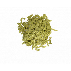 FOGLIE de ESPINACAS - 500gr