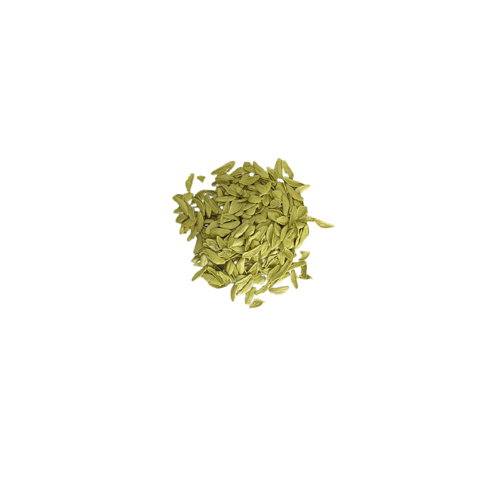 FOGLIE de ESPINACAS - 500gr
