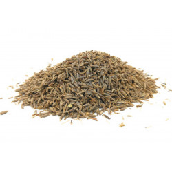 Comino en grano (50gr)